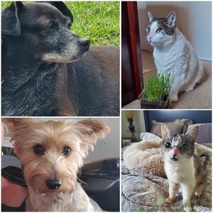 Fundraising Page: Reenie Reen